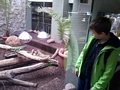 Zdjęcie: 6