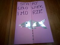 Zdjęcie: 7