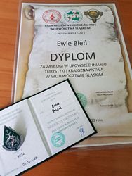Zdjęcie: 1