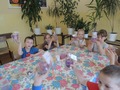Zdjęcie: 5