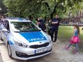 Zdjęcie: 130