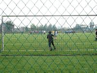 Zdjęcie: 11