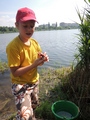Zdjęcie: 10