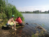 Zdjęcie: 11