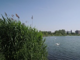 Zdjęcie: 16