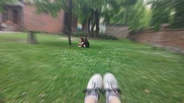 Zdjęcie: 8