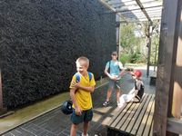 Zdjęcie: 8