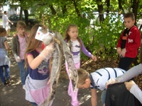 Zdjęcie: 5