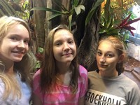 Zdjęcie: 5