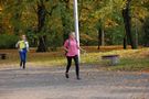 Zdjęcie: 34