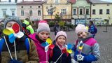 Zdjęcie: 5