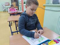 Zdjęcie: 15