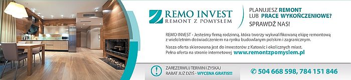 REMO INVEST