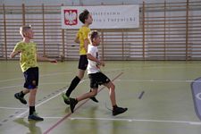 Zdjęcie: 41