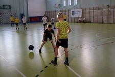 Zdjęcie: 44
