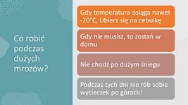 Zdjęcie: 13