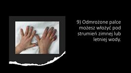 Zdjęcie: 2