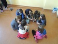 Zdjęcie: 12