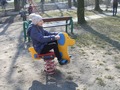 Zdjęcie: 9
