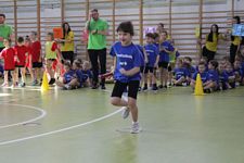 Zdjęcie: 10