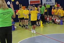 Zdjęcie: 41