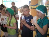 Zdjęcie: 6