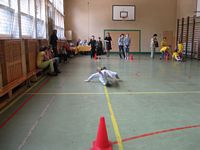 Zdjęcie: 16