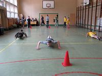 Zdjęcie: 19