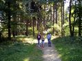 Zdjęcie: 140
