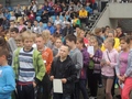 Zdjęcie: 311
