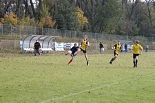 Zdjęcie: 43