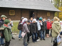 Zdjęcie: 11
