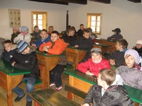 Zdjęcie: 12