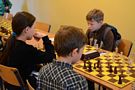 Zdjęcie: 11