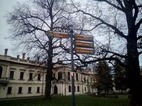 Zdjęcie: 14