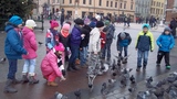 Zdjęcie: 4