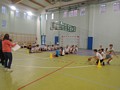 Zdjęcie: 12