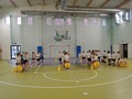 Zdjęcie: 43