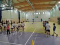 Zdjęcie: 44