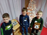 Zdjęcie: 44