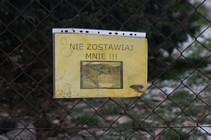 Zdjęcie: 1