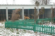 Zdjęcie: 6