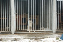 Zdjęcie: 7