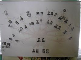 Zdjęcie: 16
