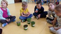 Zdjęcie: 2