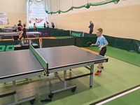 Zdjęcie: 12