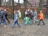 Zdjęcie: 11