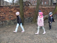 Zdjęcie: 12