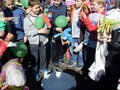 Zdjęcie: 11