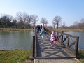 Zdjęcie: 12